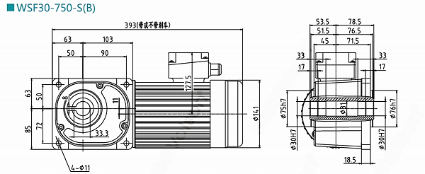 WSF30-750-S(B)減速電機(jī)